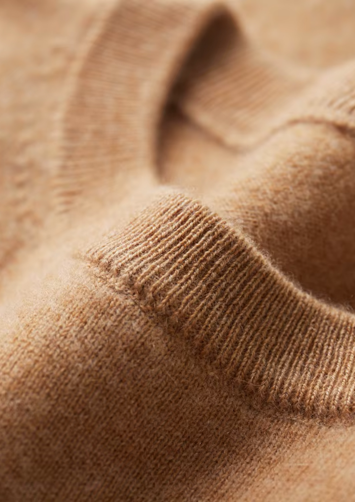 Premium Cashmere Classic Crew Neck T-Shirt - Honey Mustard by SATRI & CO. – product view 3