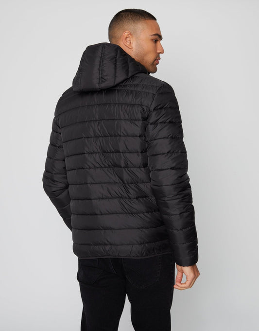 Matte Finish Padded Hooded Jacket in Black